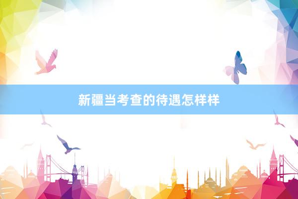 新疆当考查的待遇怎样样